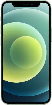 Смартфон Apple iPhone 12 Mini 256GB / MGEE3 (зеленый)