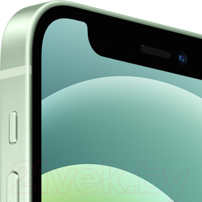 Смартфон Apple iPhone 12 Mini 256GB / MGEE3 (зеленый)