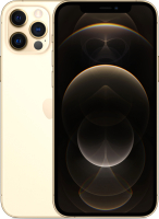 Смартфон Apple iPhone 12 Pro 256GB / MGMR3 (золото) - 