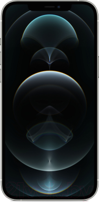 Смартфон Apple iPhone 12 Pro Max 128GB / MGD83 (серебристый)