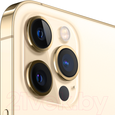 Смартфон Apple iPhone 12 Pro Max 512GB / MGDK3 (золото)
