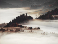 Картина Orlix Туман / CA-12952 - 