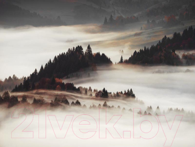 Картина Orlix Туман / CA-12952