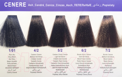 Крем-краска для волос DCM Hair Color Cream HOP Complex 10/0 (100мл, очень светлый блонд платиновый натуральный)