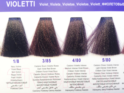 Крем-краска для волос DCM Hair Color Cream HOP Complex 4/80 (100мл, каштановый фиолетовый интенсивный)
