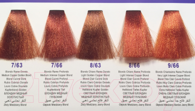Крем-краска для волос DCM Hair Color Cream HOP Complex 10/2 (100мл, очень светлый блонд платиновый пепельный)