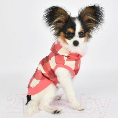 Изображение товара Толстовка для животных Puppia Curtis / PAUD-TS1846-WN-S (розовый)