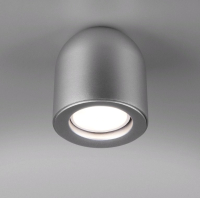Точечный светильник Elektrostandard DLN116 GU10 (серебро) - 