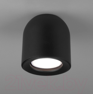 Точечный светильник Elektrostandard DLN116 GU10 (черный)