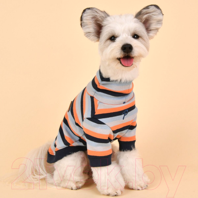 Свитер для животных Puppia Bryson / PAUD-TS1844-NY-XL (голубой)