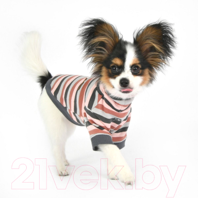 Свитер для животных Puppia Bryson / PAUD-TS1844-NY-XL (голубой)