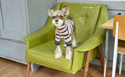 Свитер для животных Puppia Bryson / PAUD-TS1844-NY-XL (голубой)