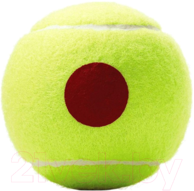 Набор теннисных мячей Wilson Roland Garros / WRT147600 (3шт)