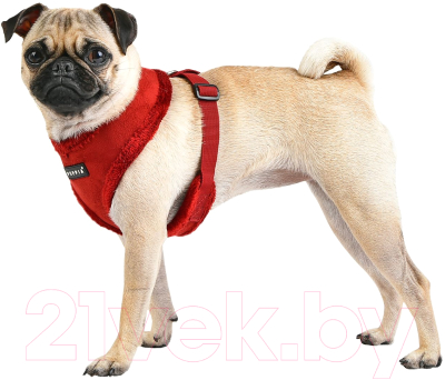 Шлея-жилетка для животных Puppia Terry утепленная / PASD-HA1661-WN-L (красный)