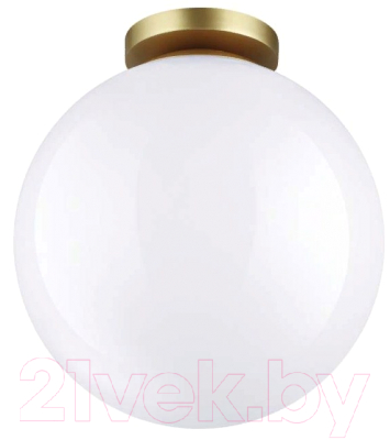 

Светильник уличный Odeon Light, Bosco 4249/1C