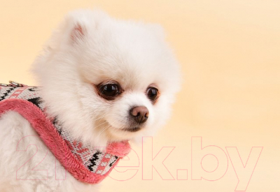 Шлея-жилетка для животных Pinkaholic Joy / NASD-HJ7504-IP-M (розовый)