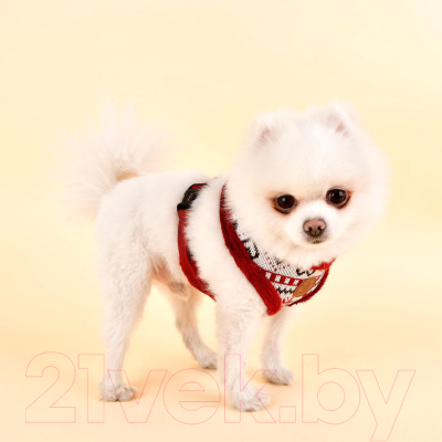 Шлея-жилетка для животных Pinkaholic Joy / NASD-HA7504-WN-L (красный)