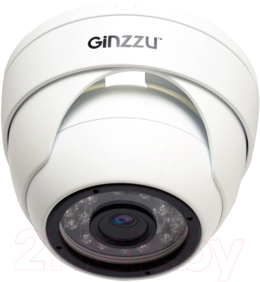 IP-камера Ginzzu HID-2301S
