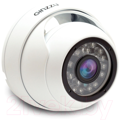 IP-камера Ginzzu HID-2301S