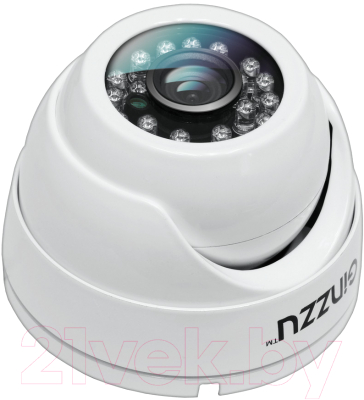 Аналоговая камера Ginzzu HAD-5301A