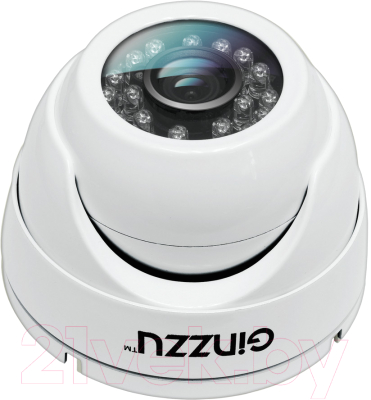 Аналоговая камера Ginzzu HAD-5301A