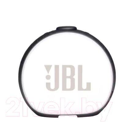 Портативная акустика JBL Horizon 2 (черный)
