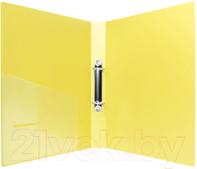 Папка-регистратор Darvish DV-10-2K (желтый)