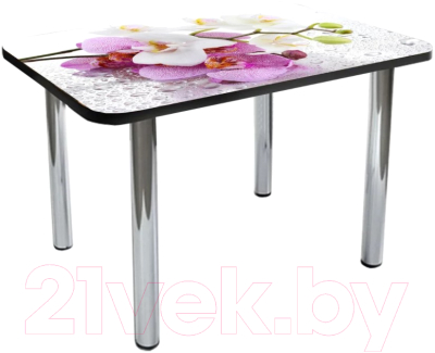 Обеденный стол Solt №3 110x70 (кромка черная/ноги хром)