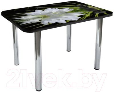 Обеденный стол Solt №146 100x60 (кромка черная/ноги хром)