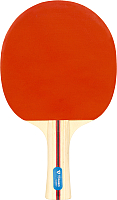 Ракетка для настольного тенниса Torneo Tour TI-B2000 - 