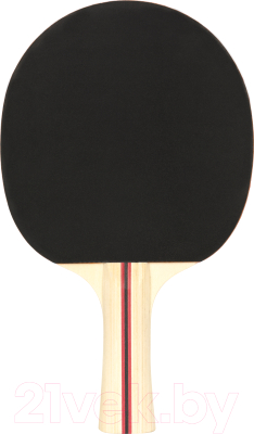 Ракетка для настольного тенниса Torneo Tour TI-B2000