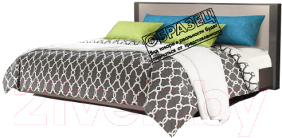 Двуспальная кровать Мебель-КМК 1600 Стефани 0649.4-01 (холст серый/камень темно-серый)