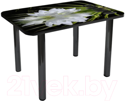Обеденный стол Solt №146 110x70 (кромка черная/ноги черные)