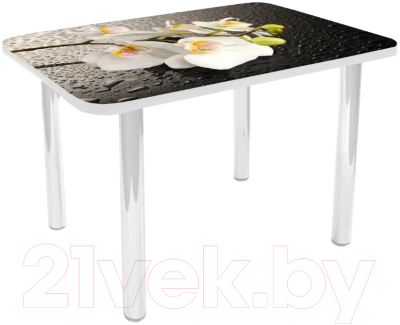 Обеденный стол Solt №20 110x70 (кромка белая/ноги белые)