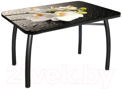 Обеденный стол Solt №20 110x70 (кромка черная/ноги усиленные/шелби-дуо черные)