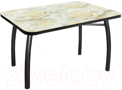 Обеденный стол Solt №164 110x70 (кромка черная/ноги усиленные/шелби-дуо черные)