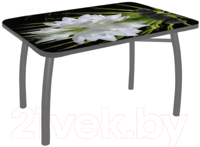 Обеденный стол Solt №146 110x70 (кромка серая/ноги усиленные/шелби-дуо серые)