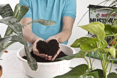 Грунт для растений Biolan Чернозем для комнатных растений (12л)