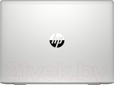 Ноутбук HP ProBook 445 G7 (175V5EA)