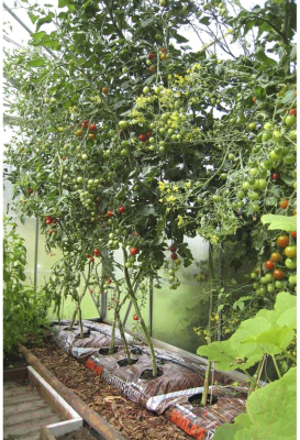 Грунт для растений Biolan Пакет-грядка для выращивания рассады (70л)