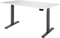 

Письменный стол Ergosmart, Ergo Desk Pro 1380x800x18