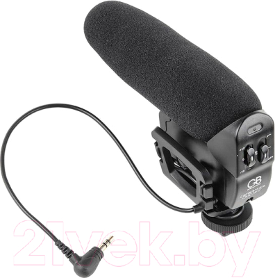 

Микрофон GreenBean, CameraVoice С100 HPF / 26131