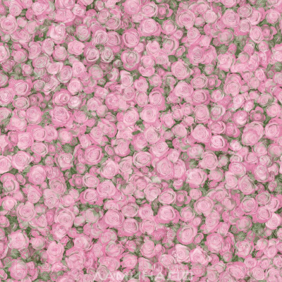 Линолеум Tarkett Fleur Rose 2 (3x2.5м)