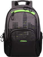 

Рюкзак Grizzly, RU-030-41