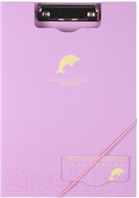 

Папка для бумаг Darvish, DV-11489