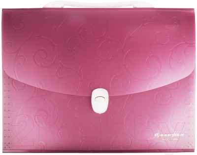 Изображение товара Папка-портфель Darvish DV-8549