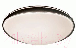 Потолочный светильник Leek Afina LE 061204-001