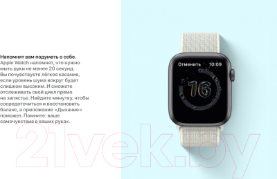 Умные часы Apple Watch SE GPS 40mm / MKQ13 (алюминий графит/темная ночь)