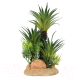 Миниатюра изображения товара Декорация для аквариума Aqua Della Palm M / 234/448816