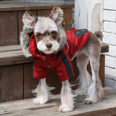 Куртка для животных Puppia Brock с капюшоном / PAUD-JM1851-RD-XL (красный)